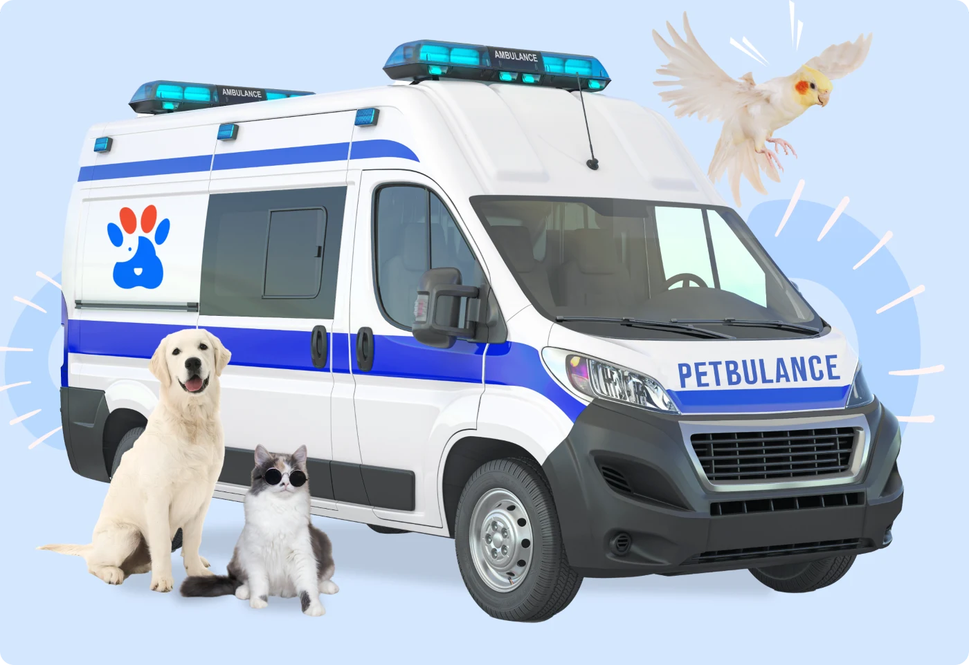 کلینیک دامپزشکی در محل و سیار پت بوم