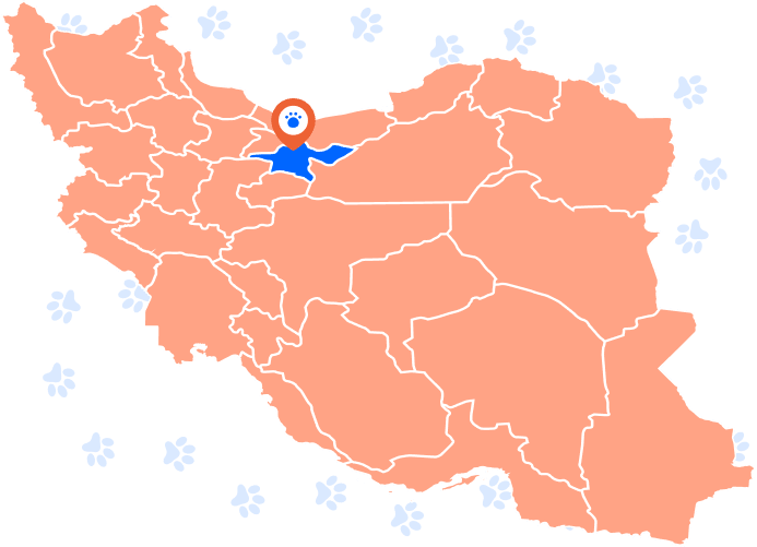 دامپزشک سیار در دسترس در تهران