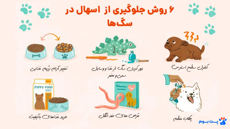 6 روش برای جلوگیری از اسهال در سگ ها
