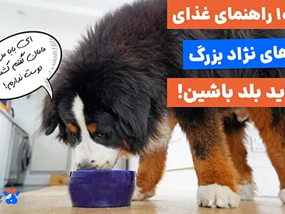 تصویر مقاله: 5 راه برای کاهش هزینه‌های تولید  با نرم افزار حسابداری